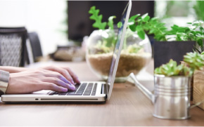 01/自分の性質や運勢を鑑定で知る